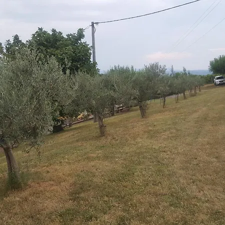 Vikendica Vila Maris *